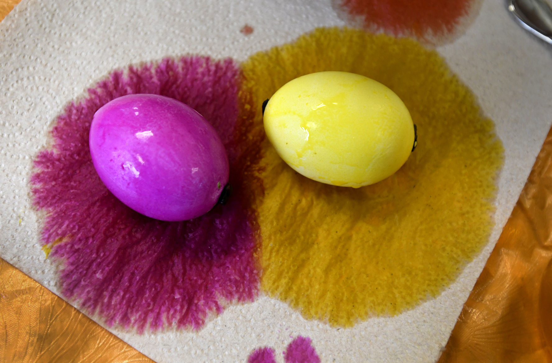040118 eggs2 kw.jpg
